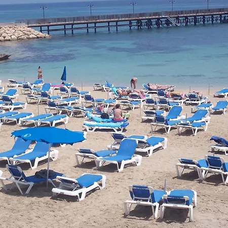 Hart Protaras